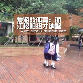 爱游戏体育:浙江松阳招才纳智“解渴”传统产业(图1) 爱游戏体育